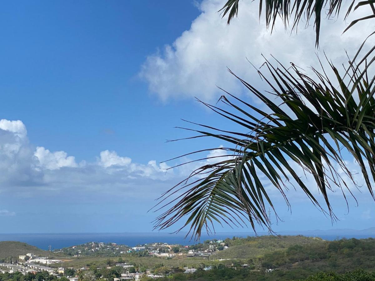 Las Terrazas Los Chivos Vieques Exterior foto